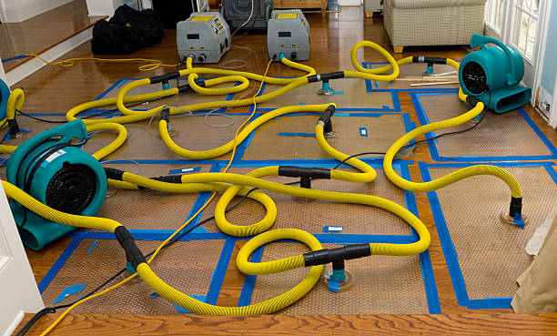 Professional Storm Water Damage Restoration technician working in Montpelier, ID